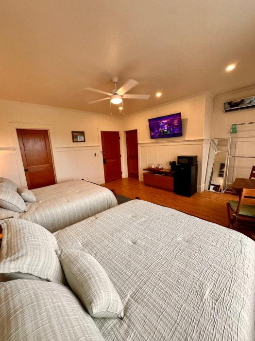 hilo town inn