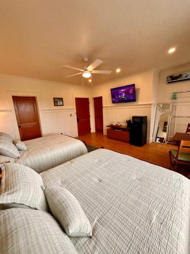 hilo town inn
