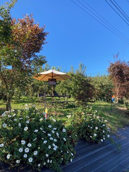 apple farm glamping villa harasawa