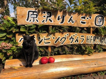 apple farm glamping villa harasawa