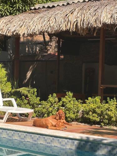 arhuacos hostal