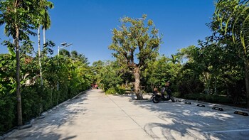 lush inn phuket