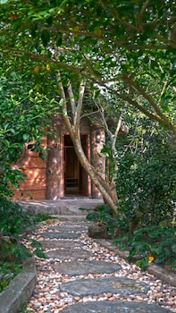 lush inn phuket