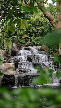 lush inn phuket