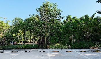 lush inn phuket