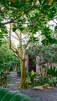 lush inn phuket