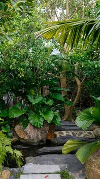 lush inn phuket