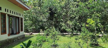 amini guest house