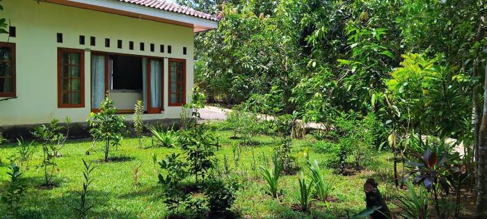 amini guest house
