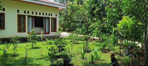 amini guest house