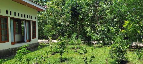 amini guest house