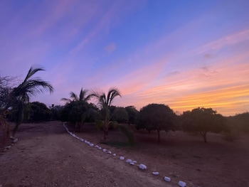 coccoloba beach hotel