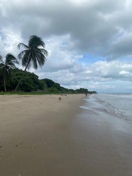 coccoloba beach hotel