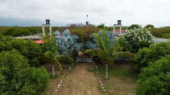 coccoloba beach hotel