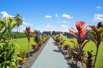 Junglo Resort And Spa,,3 star