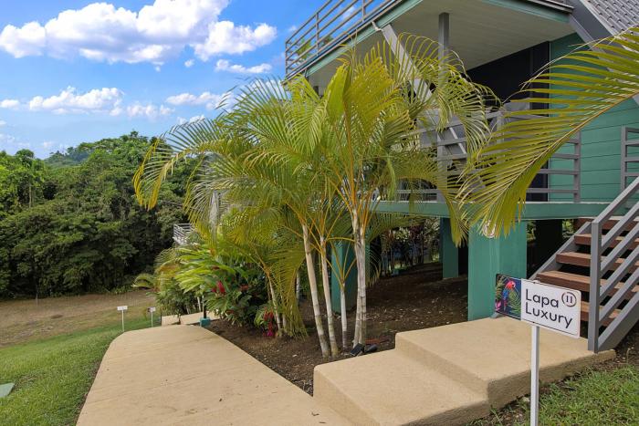 junglo resort and spa