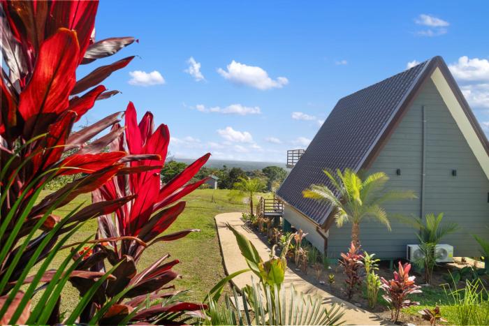 junglo resort and spa