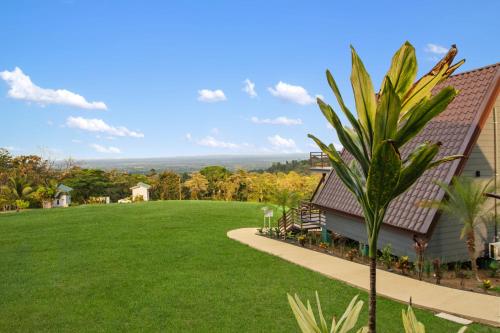junglo resort and spa