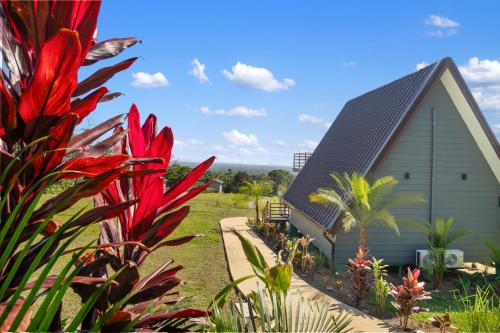 junglo resort and spa