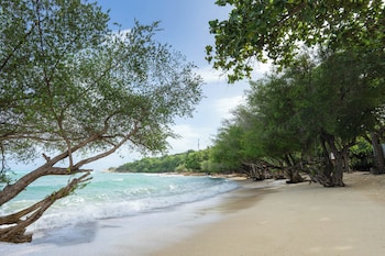 kira baya koh samed