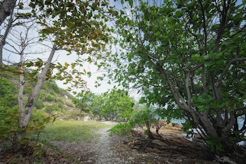 kira baya koh samed