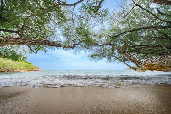 rayong