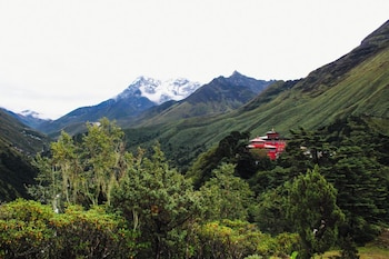 the himalayan tyangboche