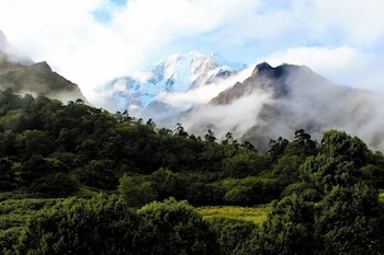 the himalayan tyangboche