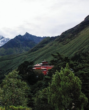 the himalayan tyangboche