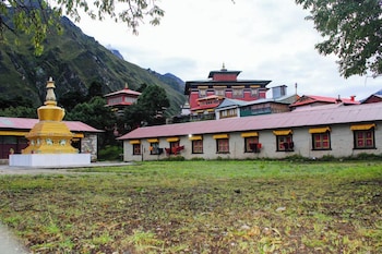 the himalayan tyangboche