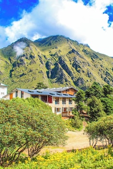 the himalayan tyangboche
