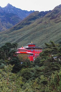 the himalayan tyangboche