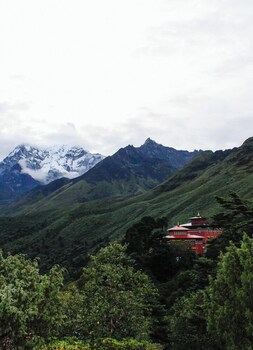 the himalayan tyangboche