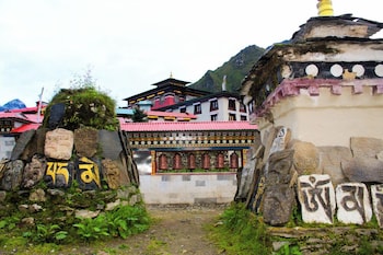 the himalayan tyangboche
