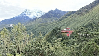 the himalayan tyangboche
