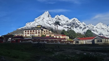 the himalayan tyangboche