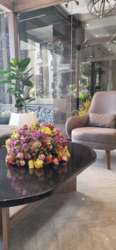 daylin guest house