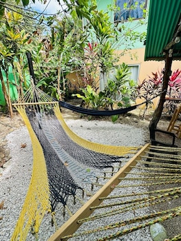 Surf Paradise,,2 star