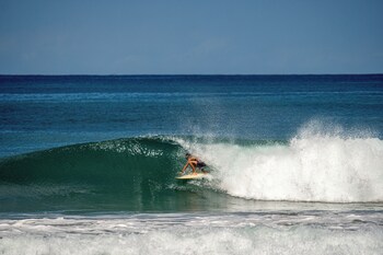 Surf Paradise,,2 star