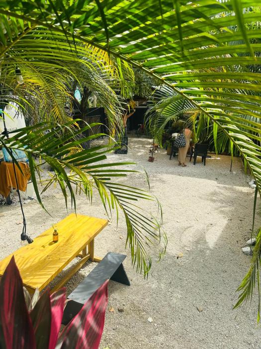 surf paradise