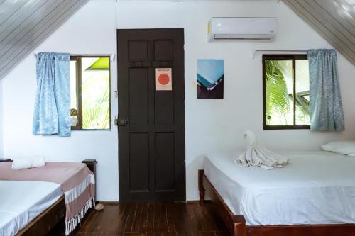 surf paradise
