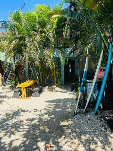 surf paradise