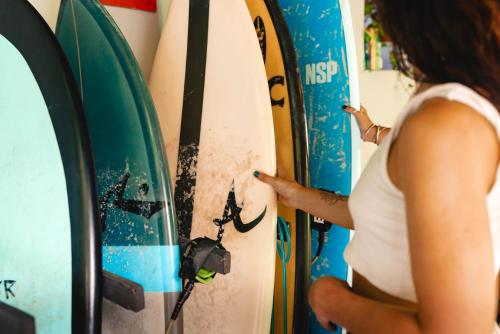 surf paradise