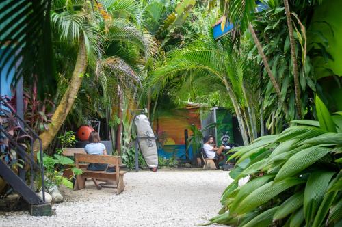 surf paradise