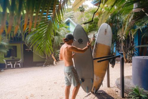 surf paradise