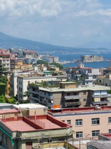 domus schipa