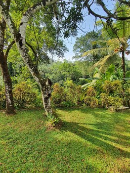nildiya cottages