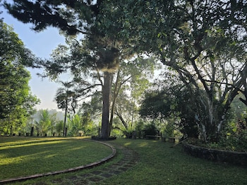 nildiya cottages