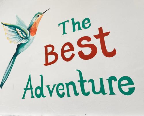 the best adventure