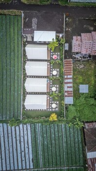 asasta kintamani villa